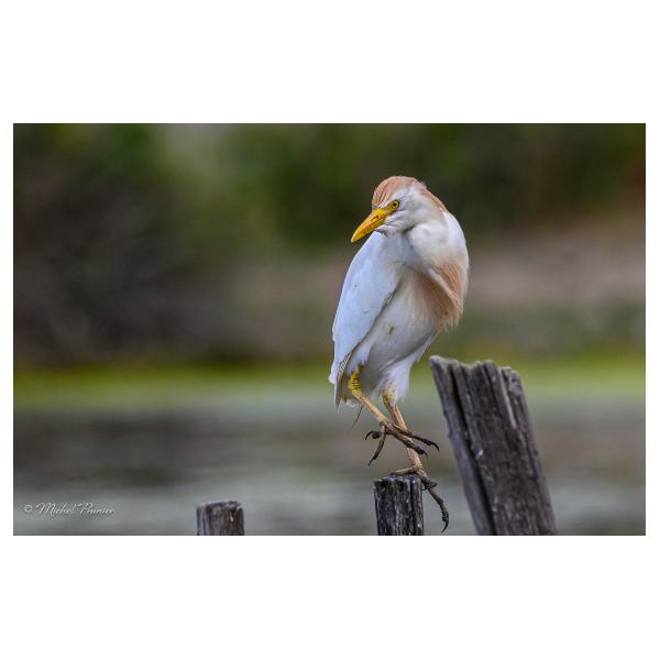 PHOTO84, CLUB, 84 , LUBERON